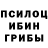 Псилоцибиновые грибы Psilocybe fucking telepyzik