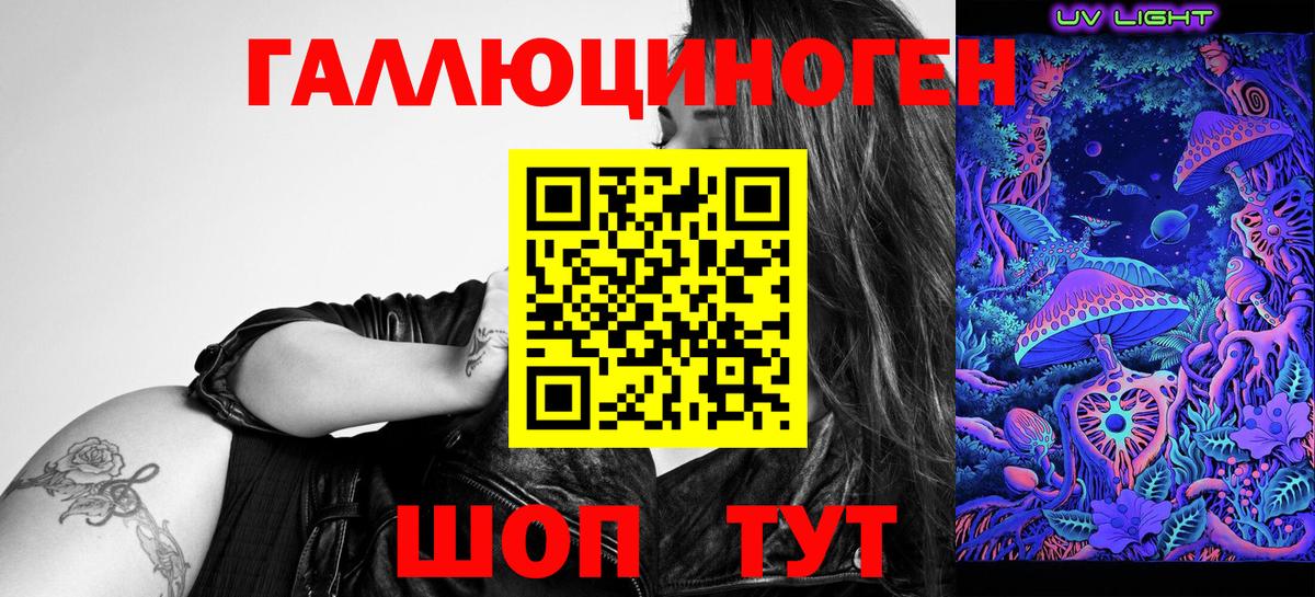 дарнет шоп  Северодвинск  Галлюциногенные грибы мухоморы 